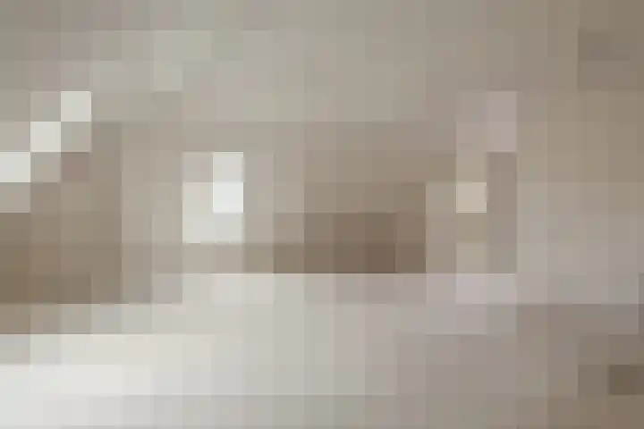 Elzenbroek 5 Ossendrecht thumbnail 42
