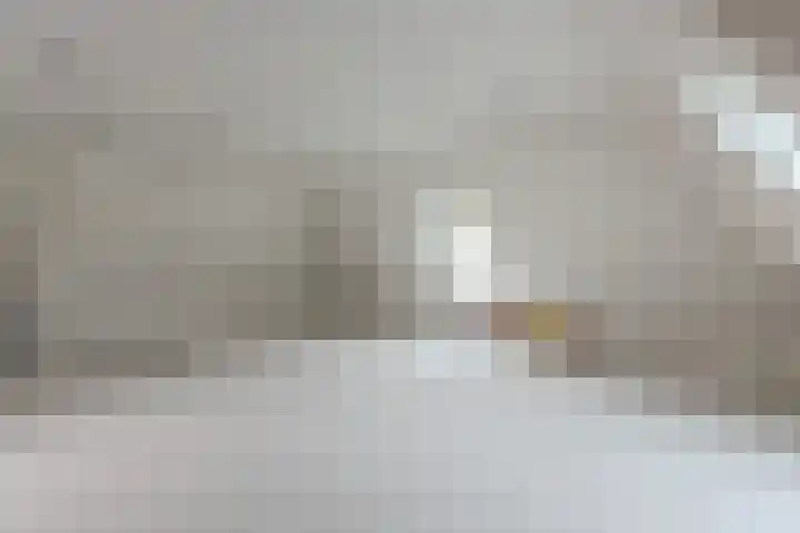 Elzenbroek 5 Ossendrecht thumbnail 43