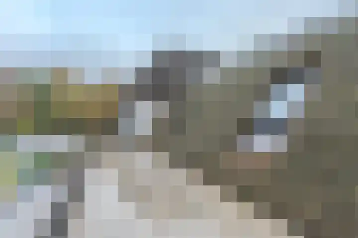 Elzenbroek 5 Ossendrecht thumbnail 5