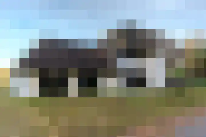 Elzenbroek 5 Ossendrecht thumbnail 8