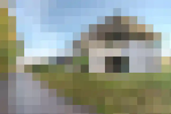 Elzenbroek 5 Ossendrecht thumbnail 9