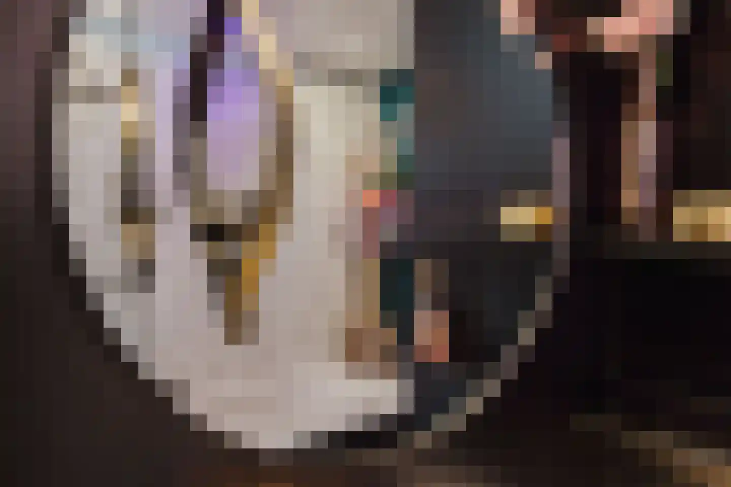 Elzenbroek 64 Breda thumbnail 31