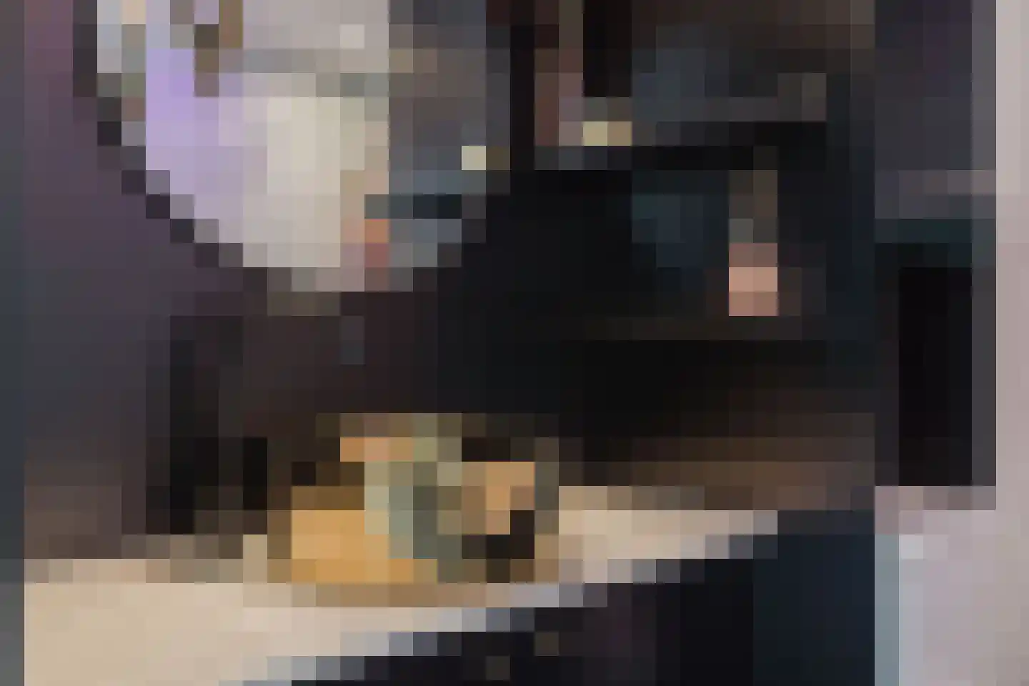 Elzenbroek 64 Breda thumbnail 32