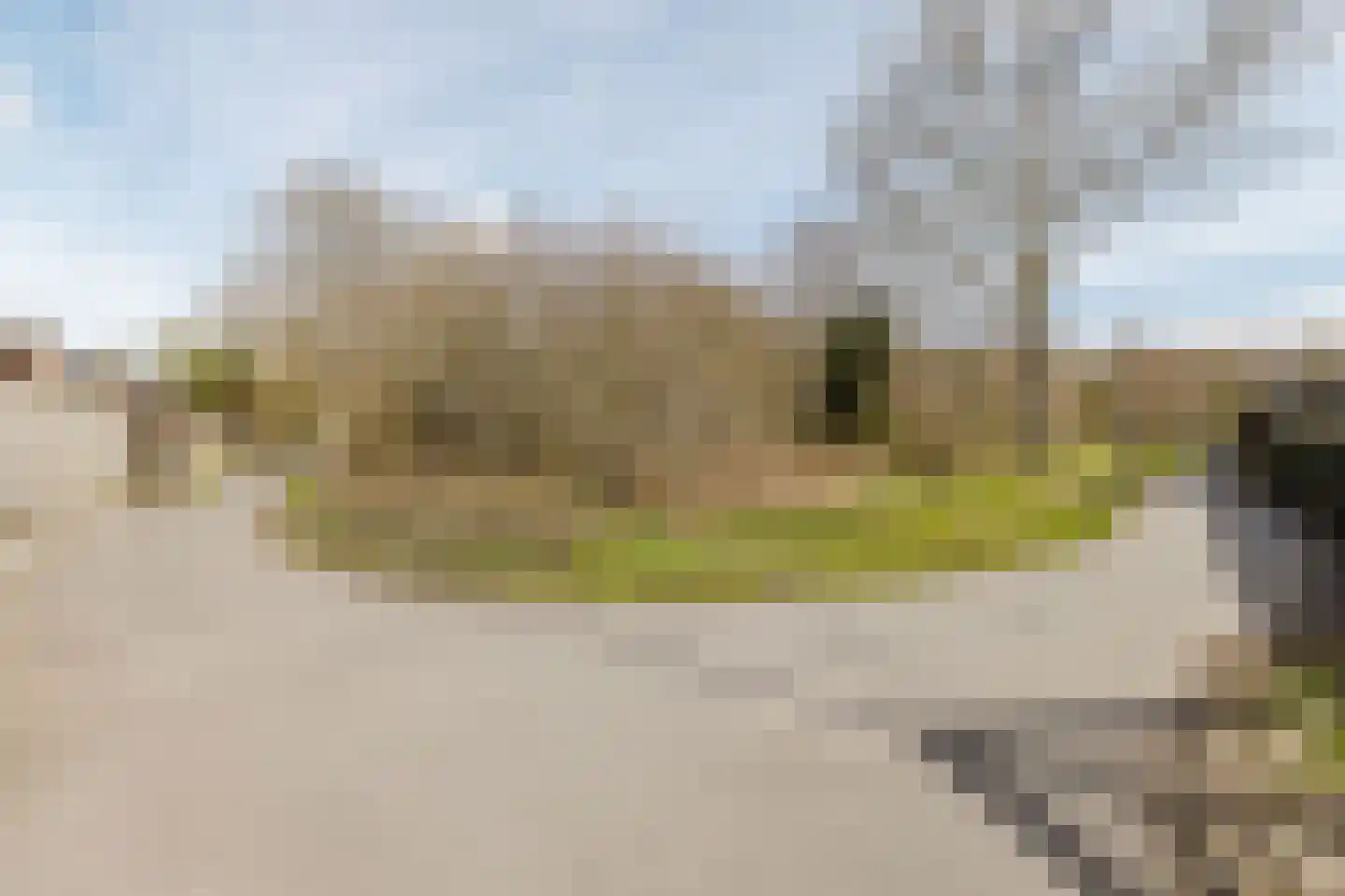Elzenbroek 64 Breda thumbnail 37