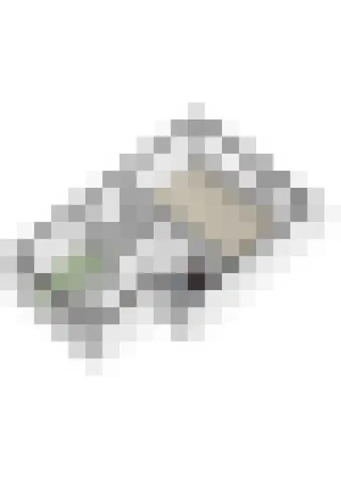 Elzenbroek 64 Breda thumbnail 39