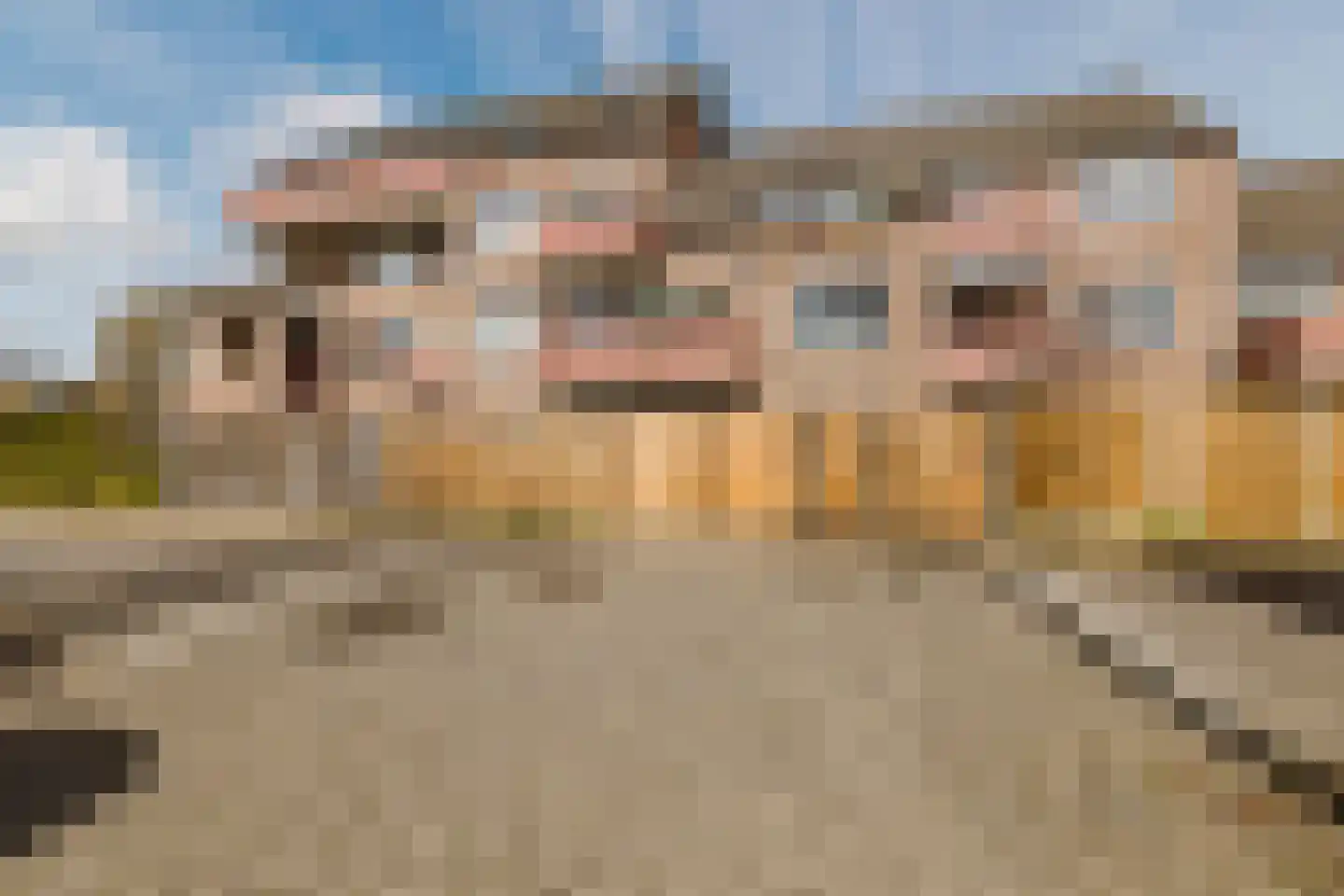 Elzenbroek 64 Breda thumbnail 5
