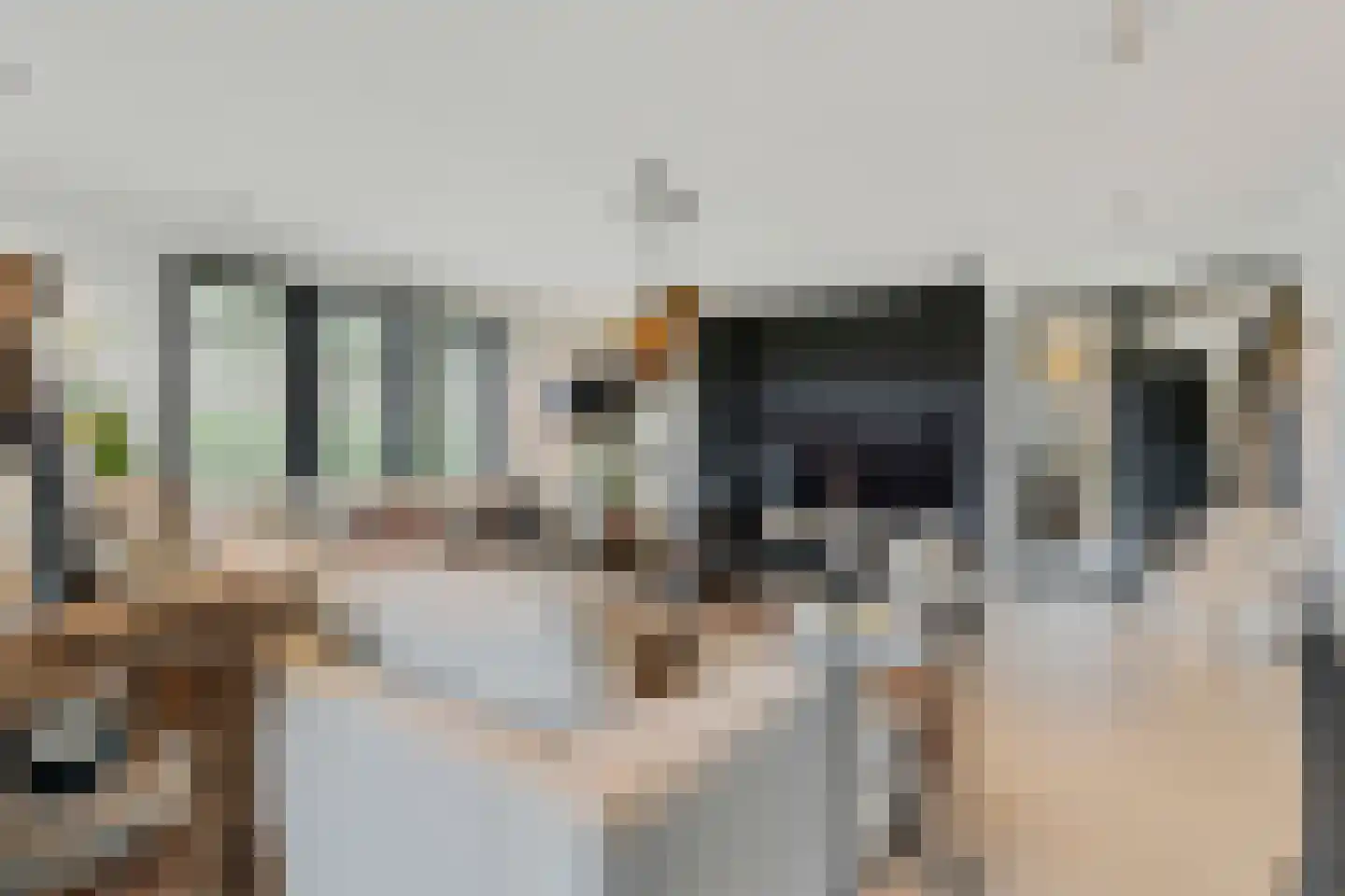 Elzenbroek 7 Ossendrecht thumbnail 15