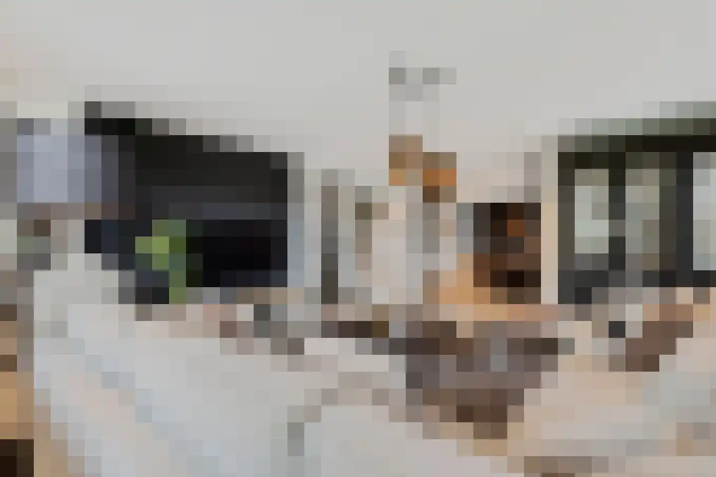 Elzenbroek 7 Ossendrecht thumbnail 16