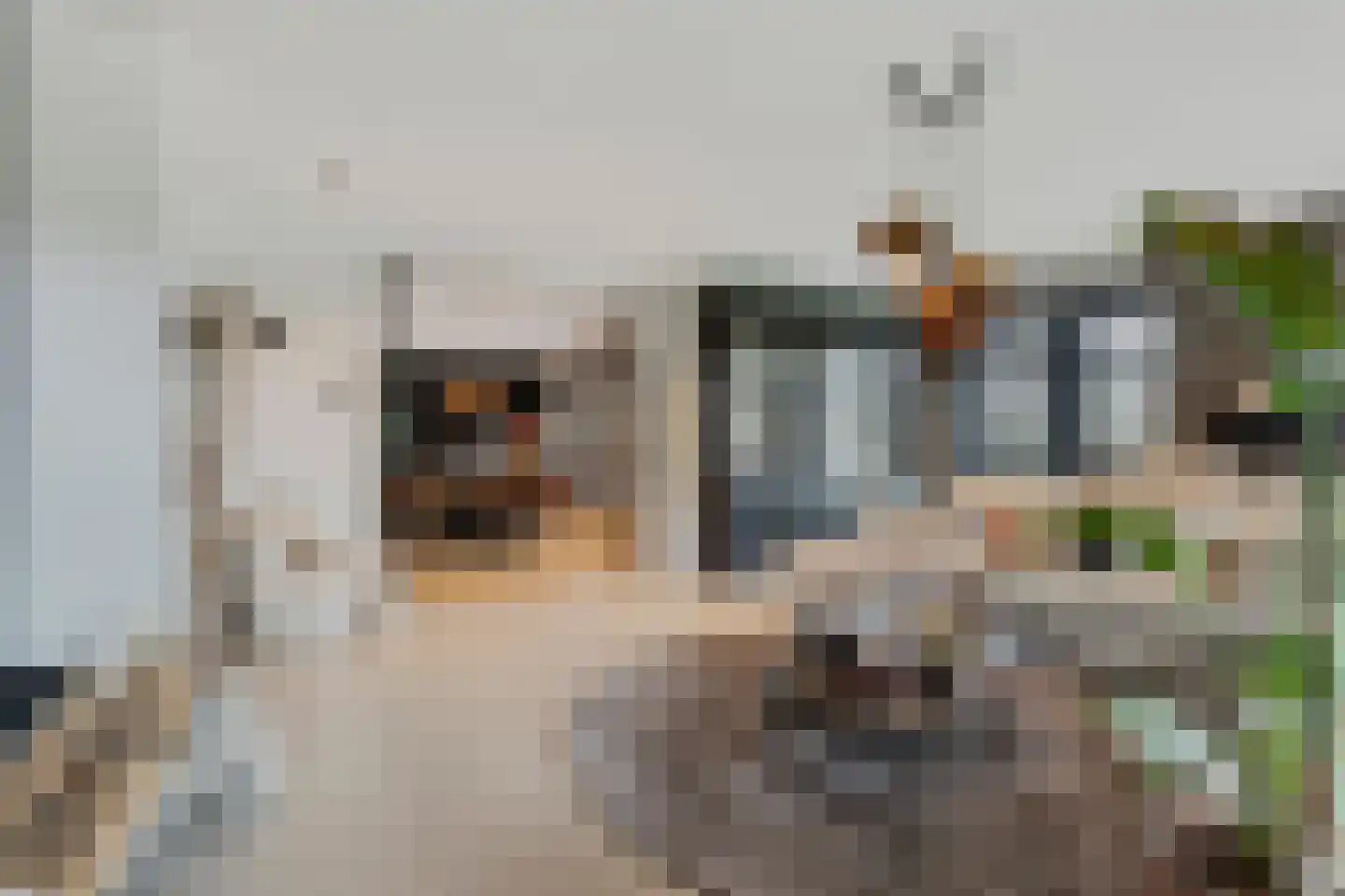 Elzenbroek 7 Ossendrecht thumbnail 17