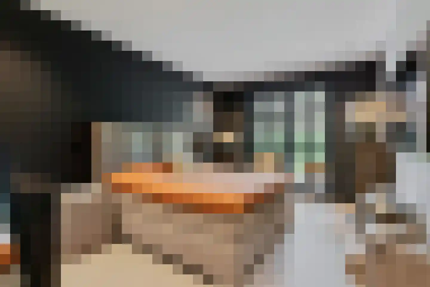Elzenbroek 7 Ossendrecht thumbnail 34