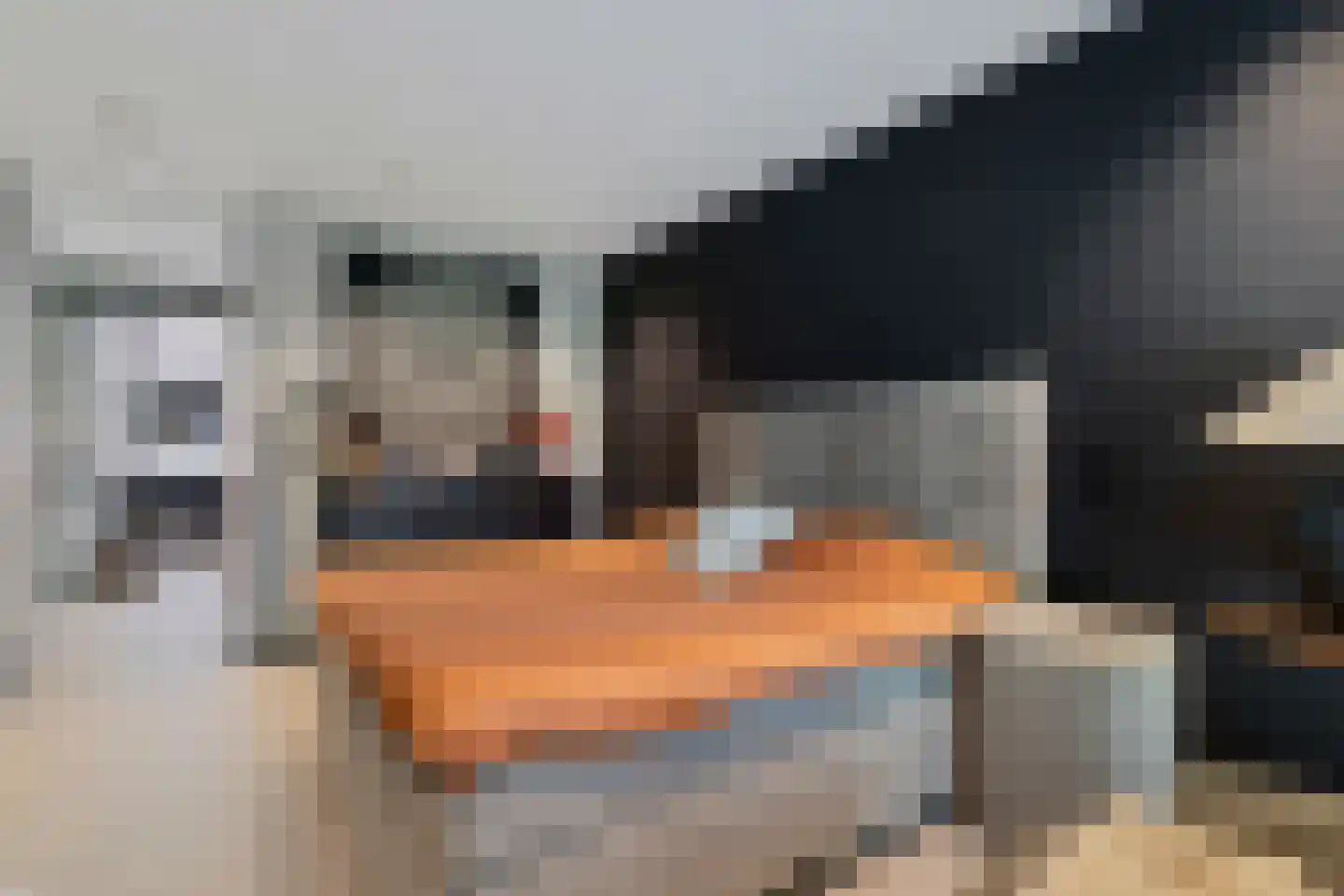 Elzenbroek 7 Ossendrecht thumbnail 35