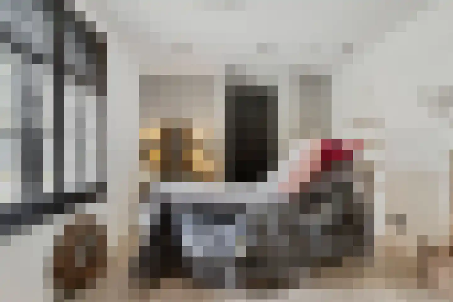 Elzenbroek 7 Ossendrecht thumbnail 45