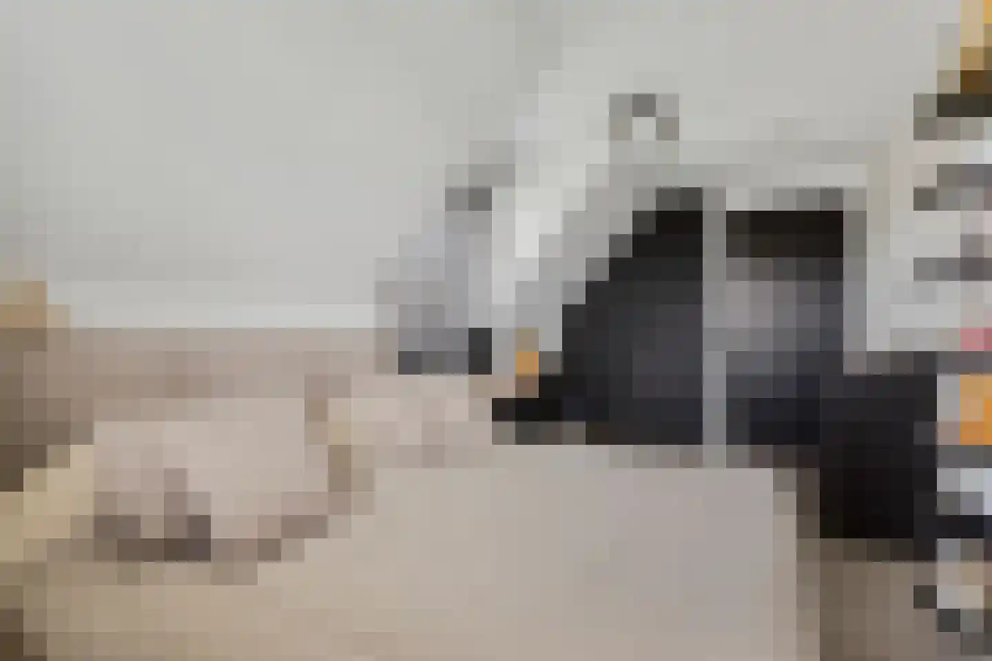 Elzenbroek 7 Ossendrecht thumbnail 57