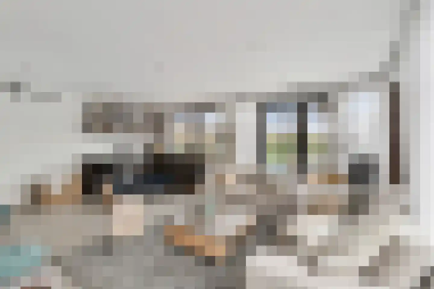 Elzenbroek 7 Ossendrecht thumbnail 63