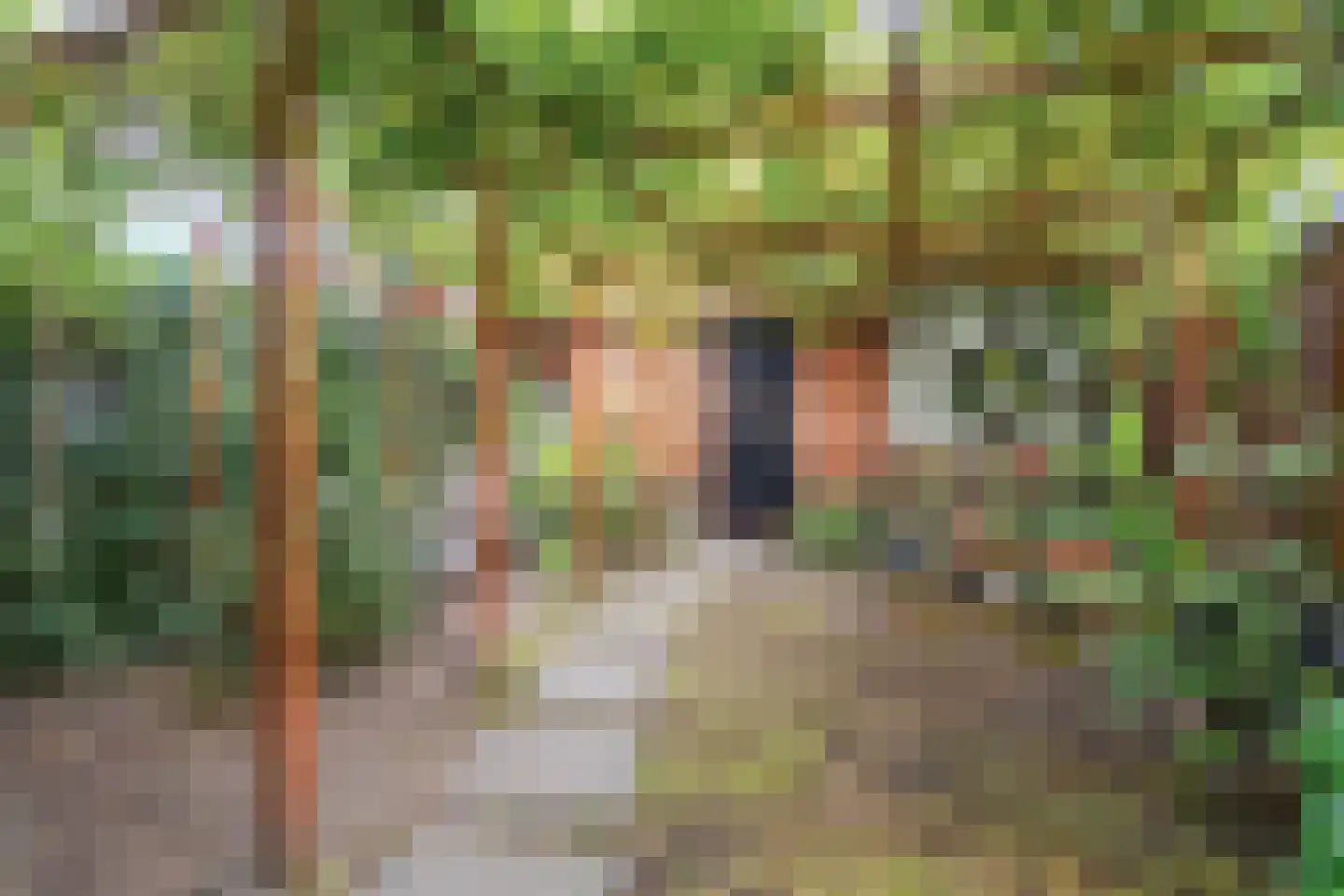 Elzenbroek 73 Breda thumbnail 5