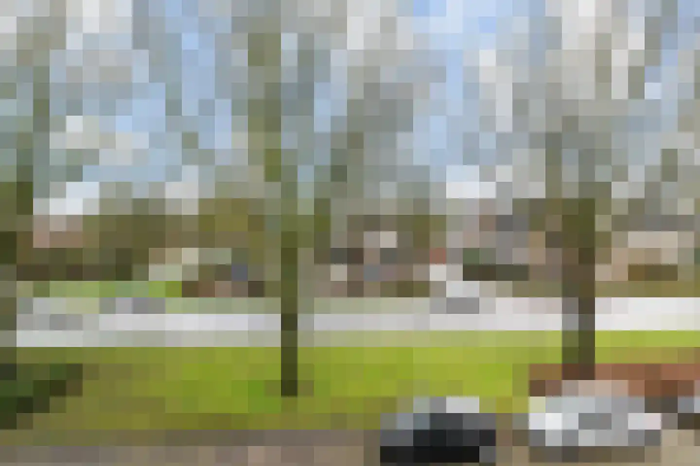 Elzenburg 7 Gouda thumbnail 50