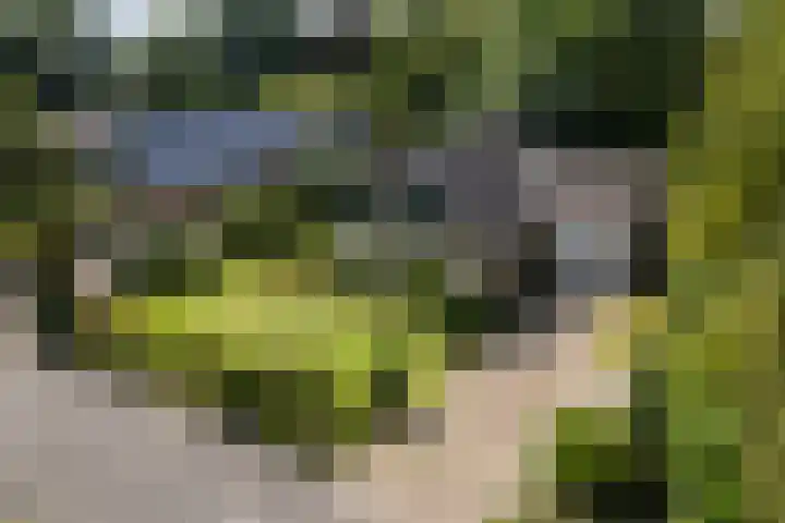 Elzencamp 6 in Hoogeveen