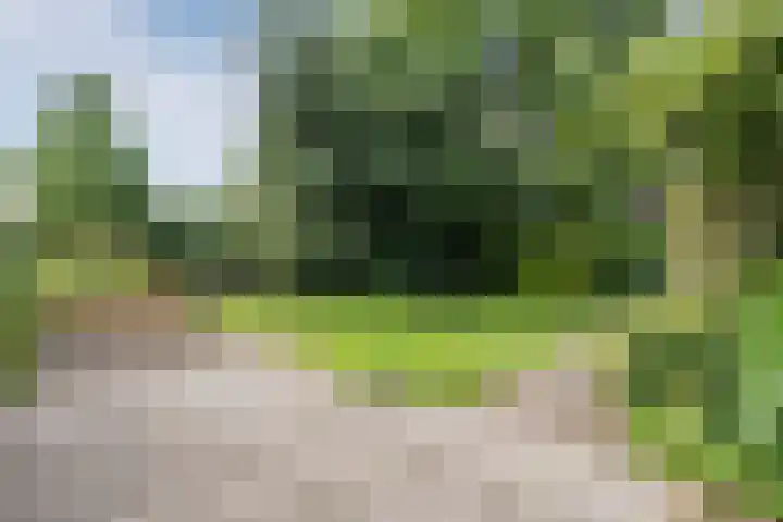Elzencamp 6 Hoogeveen thumbnail 37