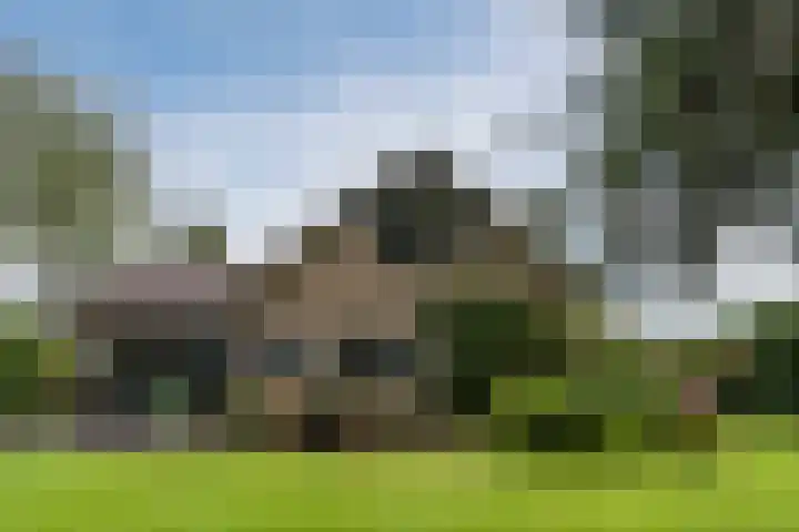 Elzencamp 6 Hoogeveen thumbnail 38