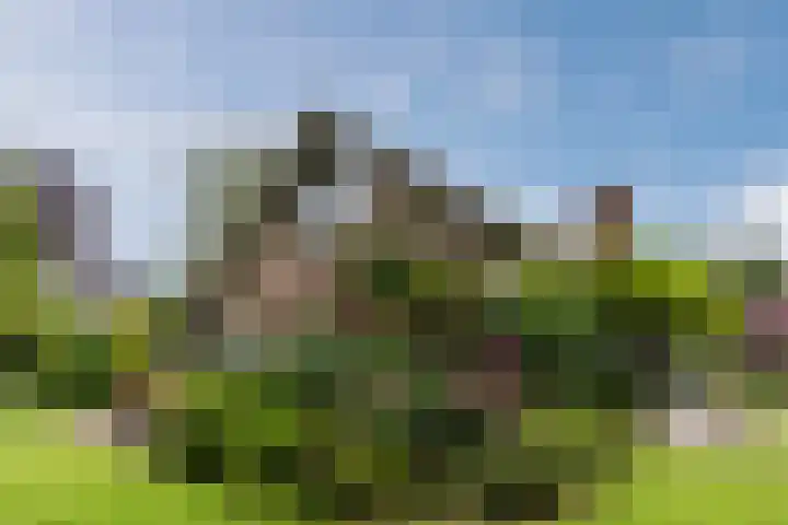 Elzencamp 6 Hoogeveen thumbnail 40