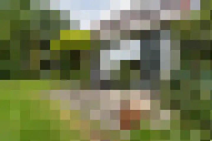 Elzencamp 6 Hoogeveen thumbnail 41