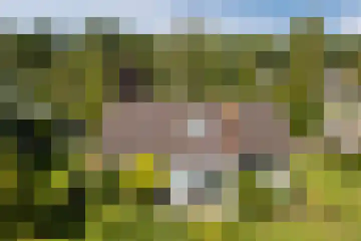 Elzencamp 6 Hoogeveen thumbnail 42