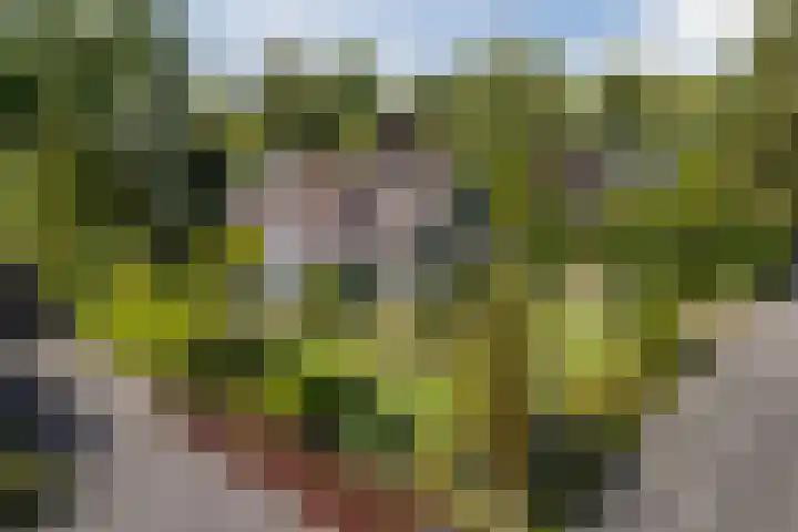 Elzencamp 6 Hoogeveen thumbnail 43