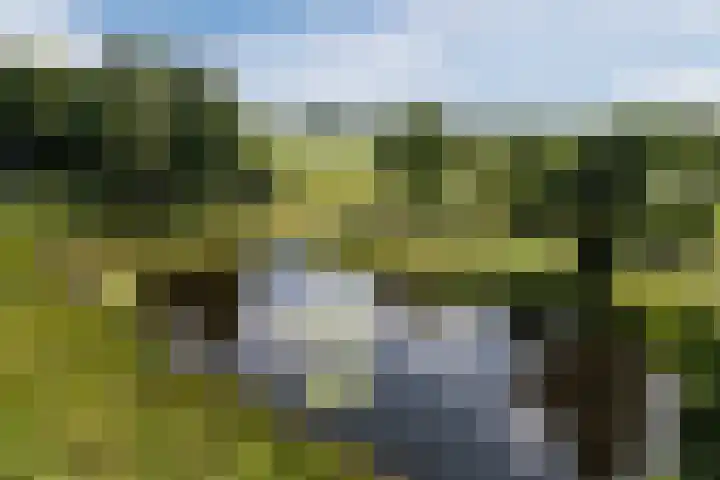 Elzencamp 6 Hoogeveen thumbnail 45