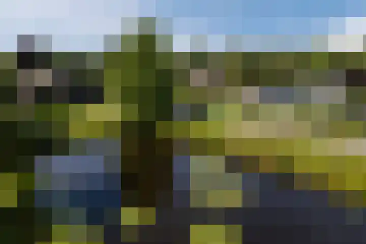 Elzencamp 6 Hoogeveen thumbnail 46