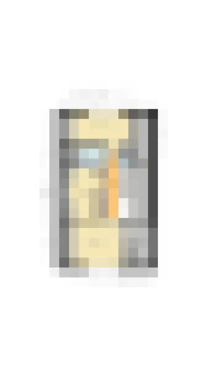 Elzencamp 6 Hoogeveen thumbnail 48