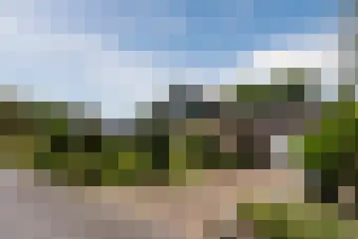 Elzencamp 6 Hoogeveen thumbnail 5