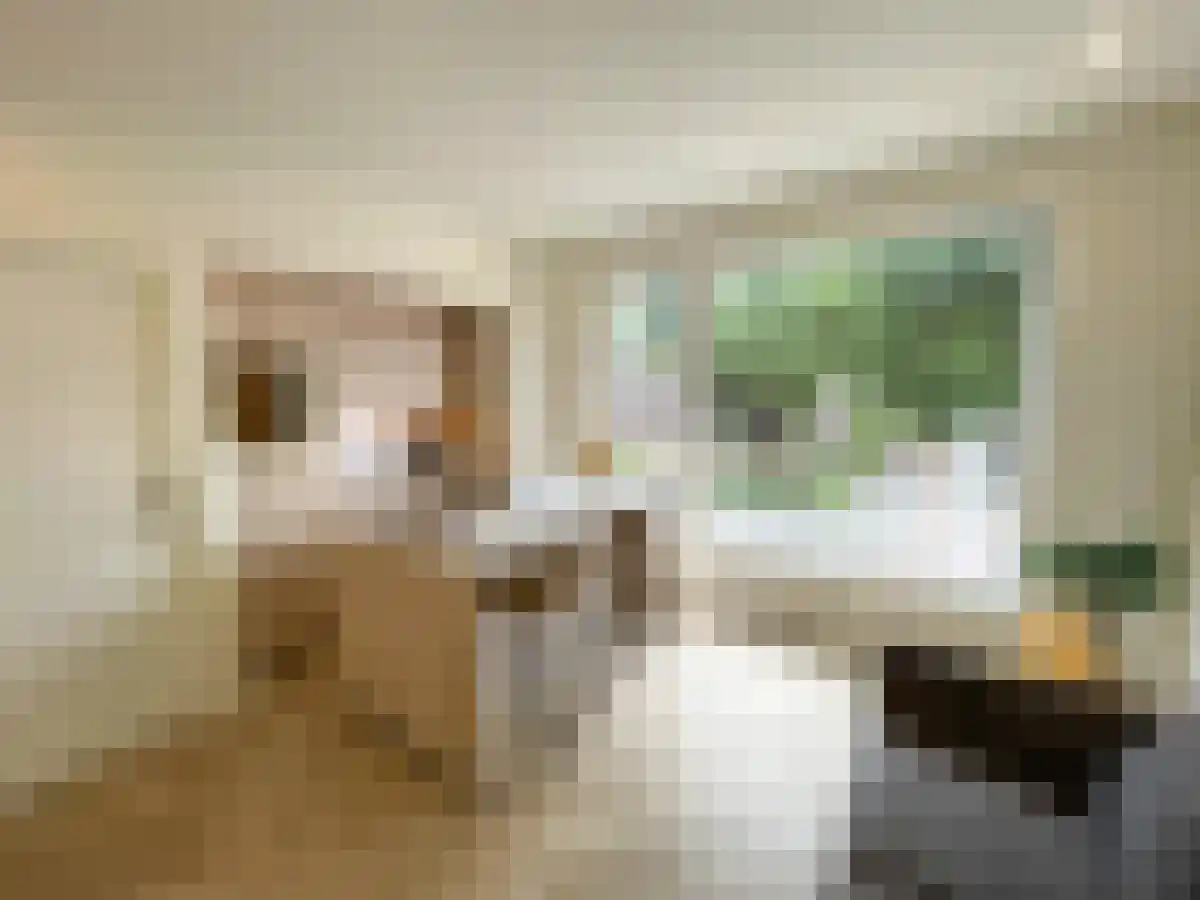 Elzendaal 5 in Rotterdam