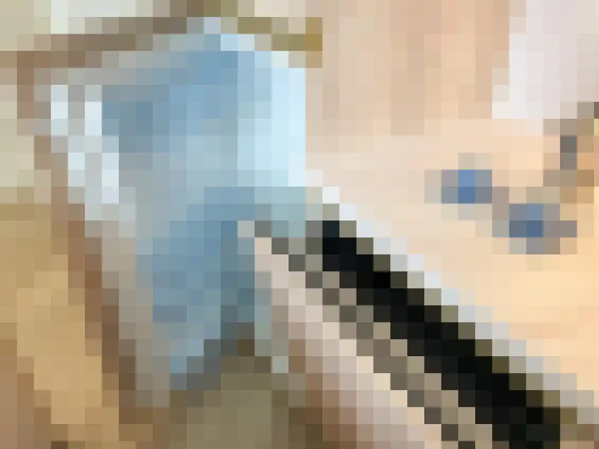 Elzendaal 5 Rotterdam thumbnail 5
