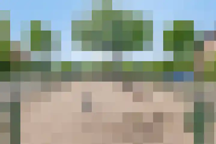 Elzendreef 10 Ulvenhout thumbnail 27