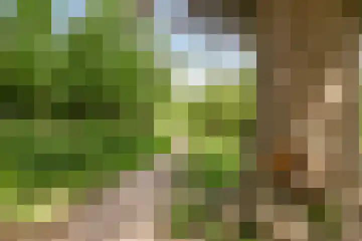 Elzendreef 10 Ulvenhout thumbnail 28