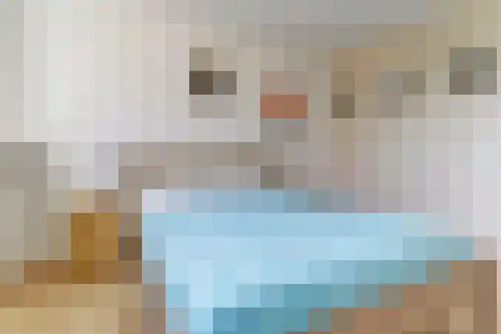 Elzendreef 12 Duiven thumbnail 12