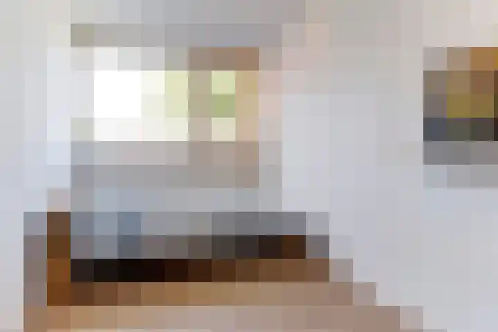 Elzendreef 12 Duiven thumbnail 13