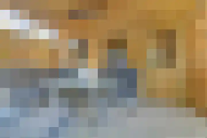 Elzendreef 12 Duiven thumbnail 19