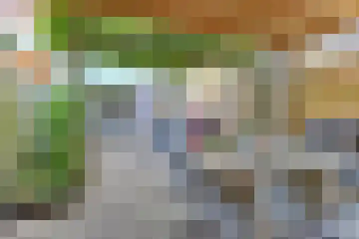 Elzendreef 12 Duiven thumbnail 20
