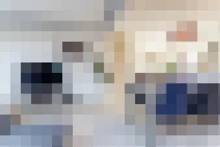 Elzendreef 12 Duiven thumbnail 5