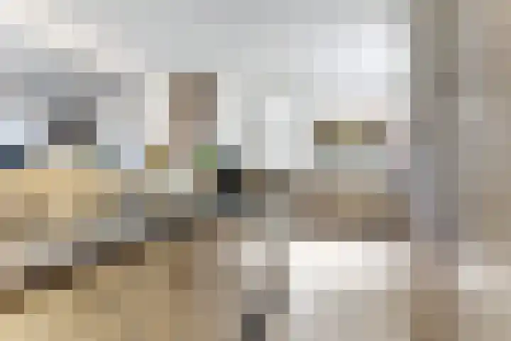 Elzendreef 12 Duiven thumbnail 9