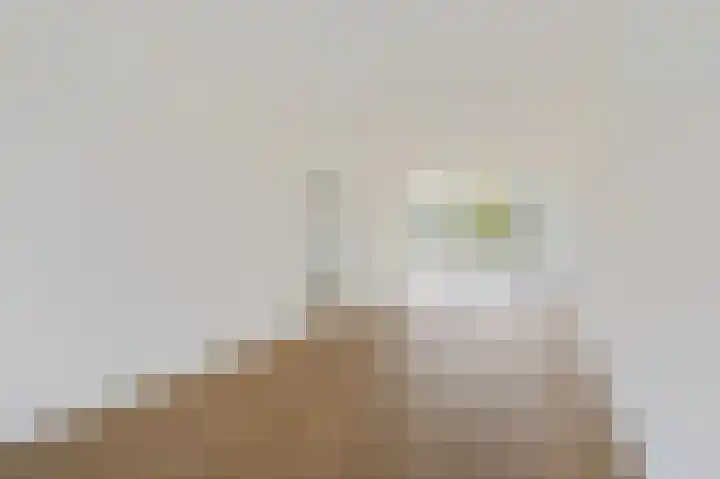 Elzendreef 123 Voorburg thumbnail 10
