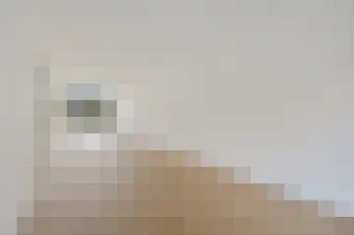 Elzendreef 123 Voorburg thumbnail 11
