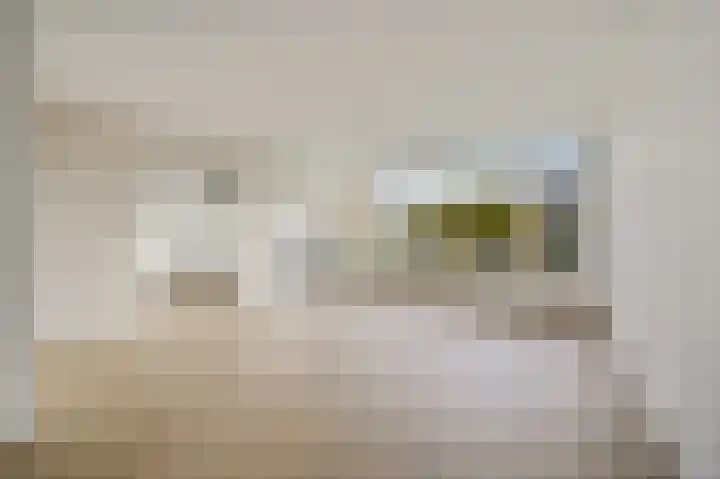 Elzendreef 123 Voorburg thumbnail 12