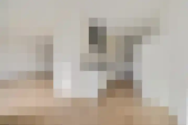 Elzendreef 123 Voorburg thumbnail 17