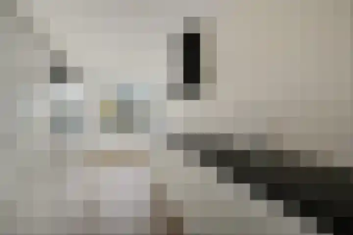 Elzendreef 123 Voorburg thumbnail 19