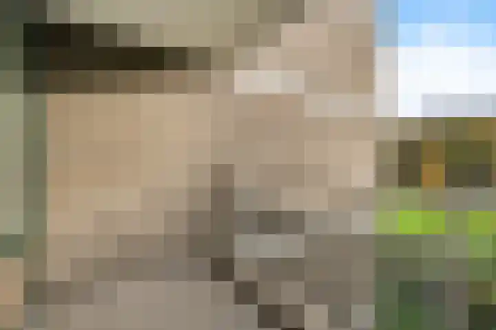 Elzendreef 123 Voorburg thumbnail 22