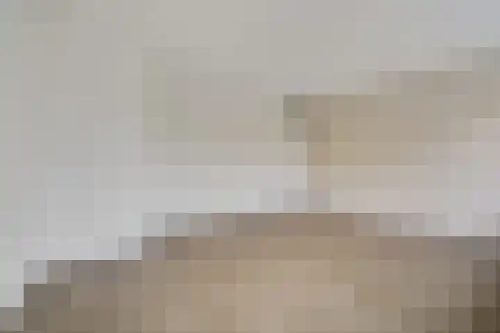 Elzendreef 123 Voorburg thumbnail 24