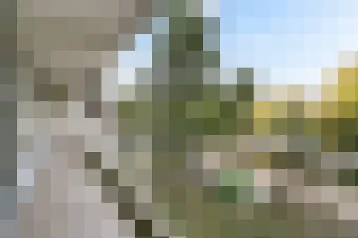 Elzendreef 123 Voorburg thumbnail 29