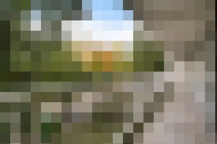 Elzendreef 123 Voorburg thumbnail 30